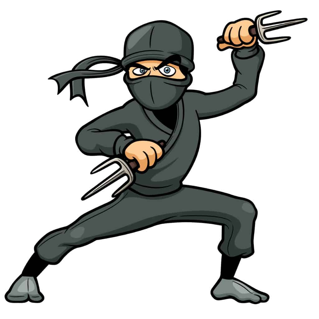 seo ninja